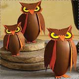 paper-owl-containers